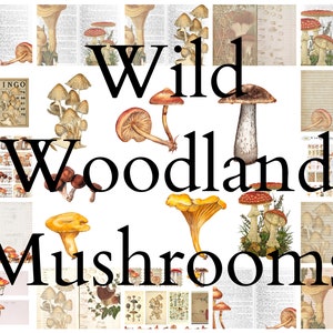 Wild Woodland Mushroom Digital Pages and Ephemera Printable Kit