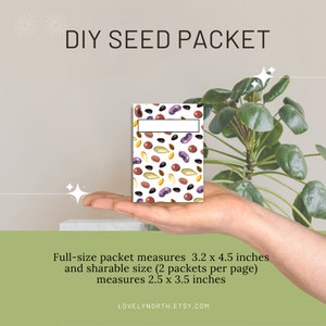 Envelopes de sementes imprimíveis, modelos de tamanho completo e menor, pacotes de sementes DIY, armazenamento de sementes, flores, ervas, vegetais