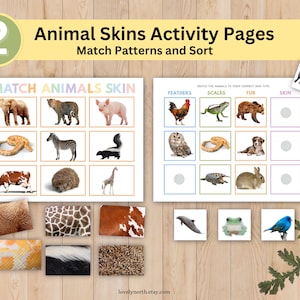 Animals Matching Skin Pattern, Busy Binder Pages, Toddler, Pre-K, Kindergarten, Homeschool, Printable, Learning Animals