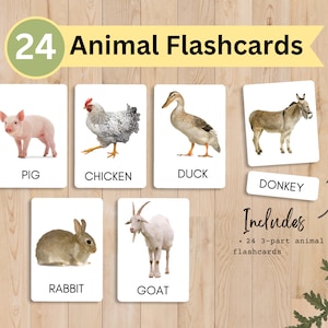 24 Farm Animal Flashcards, Montessori 3-part nomenclature cards