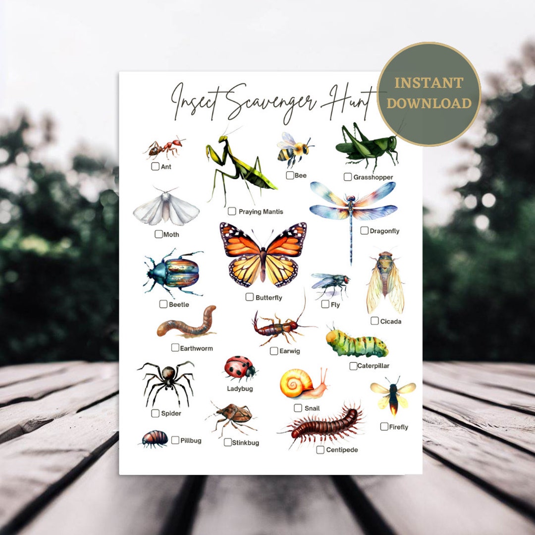 Insect Bug Scavenger Hunt Outdoor Activity Card