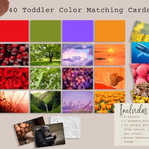 Cartões de correspondência de cores para crianças com cartões de referência, inspirados em Reggio, cores na natureza, pré-escola e jardim de infância, aprendizagem precoce Download instantâneo