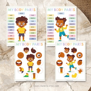 Paquete de actividades para combinar partes del cuerpo, hojas de trabajo, páginas de libros de actividades para preescolar, niño y niña, Montessori, descarga digital