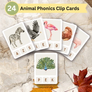 Cartões de clipe Animal Phonics, cartões com tema da natureza, download instantâneo