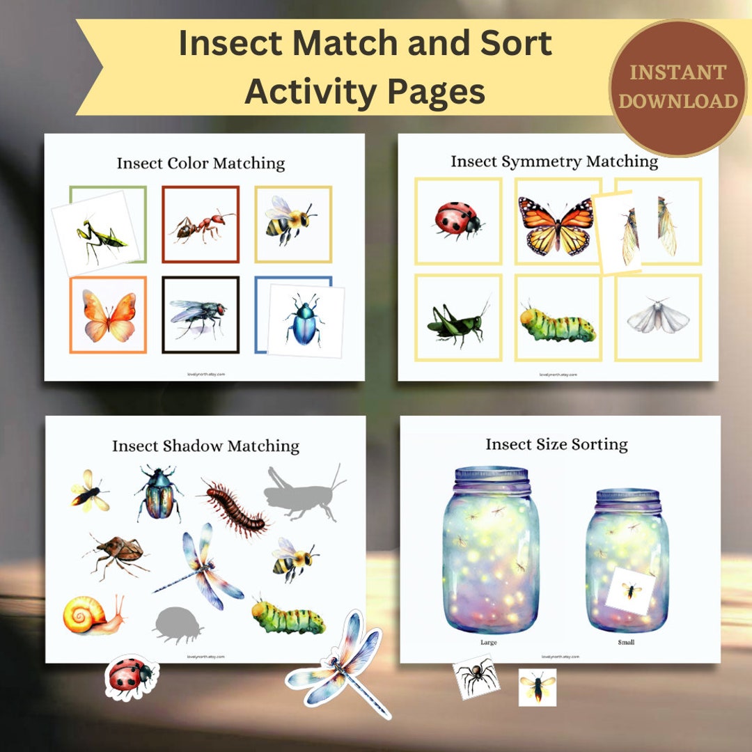 Insect Match and Sort Activity Pages Insect Nature Theme