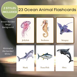 23 Meerestiere Flash Cards