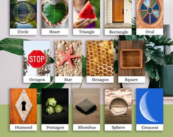 Nature Shapes, High Resolution photographs, Reggio-inspired flashcards