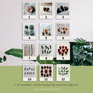 Cartes numériques de 1 à 12 avec des objets naturels à compter, style polaroïd, inspiration Reggio, cartes-éclair avec numéros de pièces détachées, téléchargement numérique