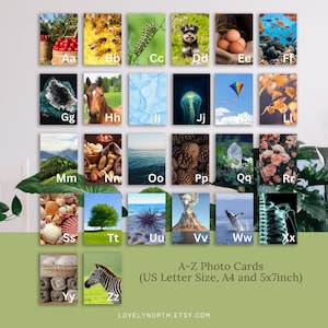 Cartes photos de l'alphabet ABC, ressource pour la petite enfance, téléchargement numérique