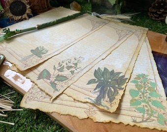 20 Pages of Green Witch Book of Shadows Paper. Binder Refill Pages Download. Vintage Botanical Spellbook Illustrations. Printable Paper Pack