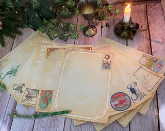 20 Pages Scorpio Zodiac Themed Book of Shadows Paper. Binder Refill Pages Download. Astrology Spellbook Illustrations. Printable Paper Pack