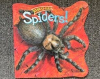 2001 Know It Alls Paperback Spiders Book, Learning about Spiders, Spider Kid's Book, Spider Theme, Spiders, Learning Spiders, Spiders Kids