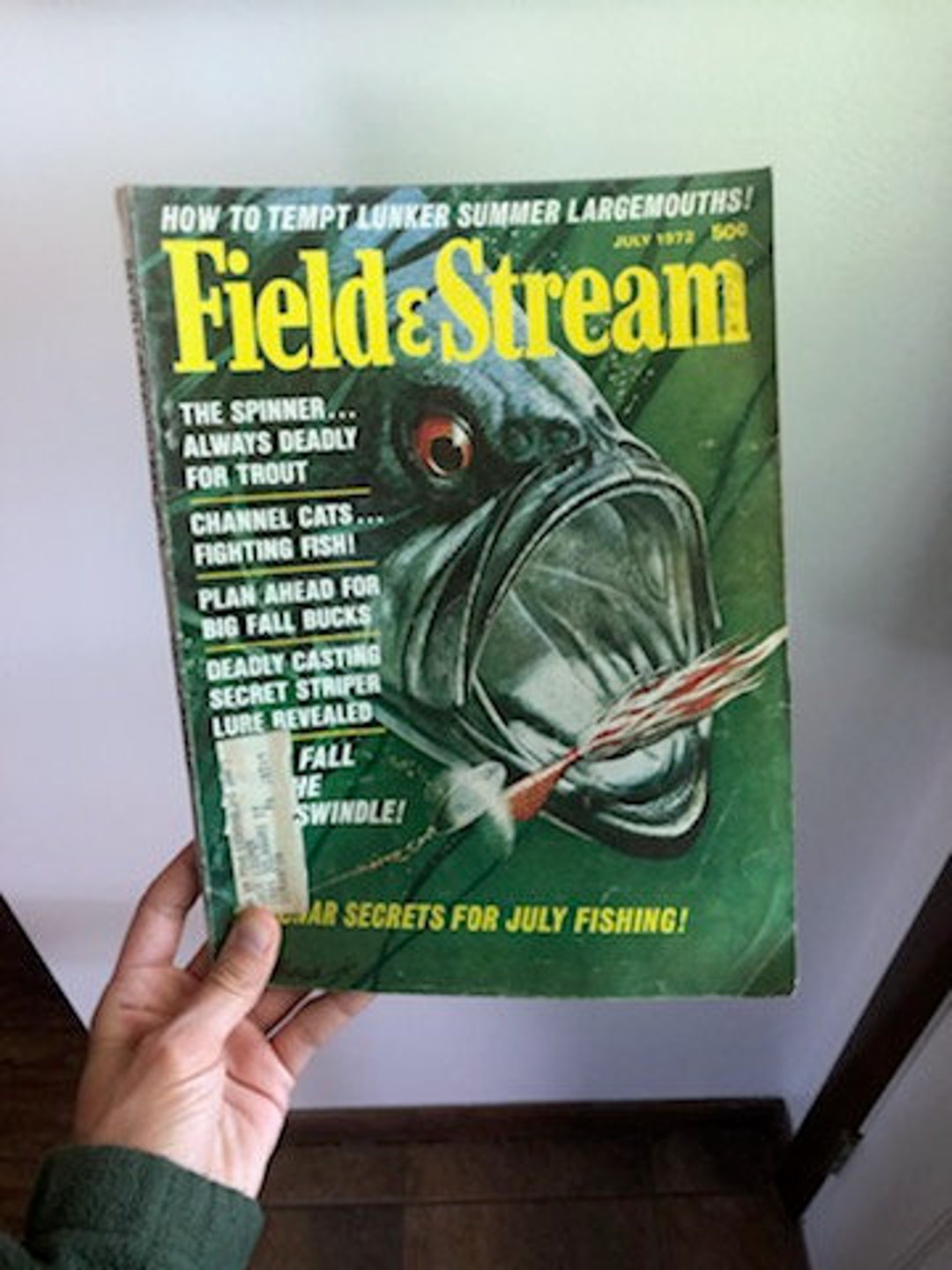 Vintage Field and Stream Magazine July 1972 50 Cents Issue, Fishing