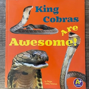 May include: A bright orange book cover with the title "King Cobras Are Awesome!" in yellow letters. The cover features a close-up of a king cobra's head and a full-body image of a king cobra. The book is by Megan Cooley Peterson and is part of the A+ Books series.