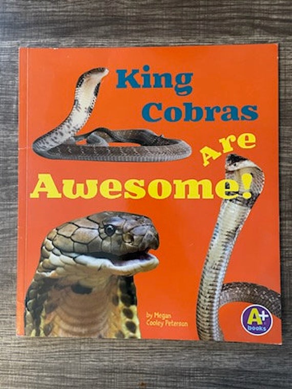 5 Facts About The King Cobra - Reptiles Magazine