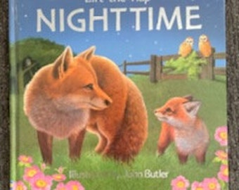 Vintage Large Hardcover Usborne Lift the Flap Nightime Book, Nighttime Animals, During the Night, Usborne Nightime Book Lift the Flap