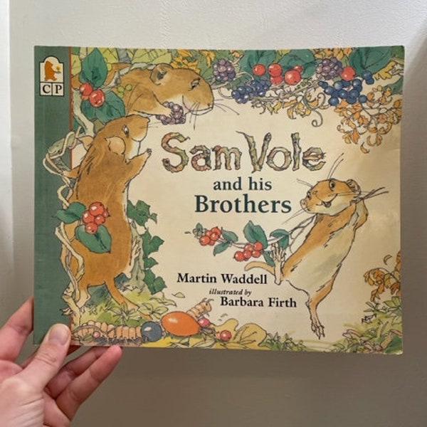 1992 Sam Vole and his brothers by Martin Waddell and Barbara Firth Paperback Children's Book, Sam Vole and His Brothers Paperback Book