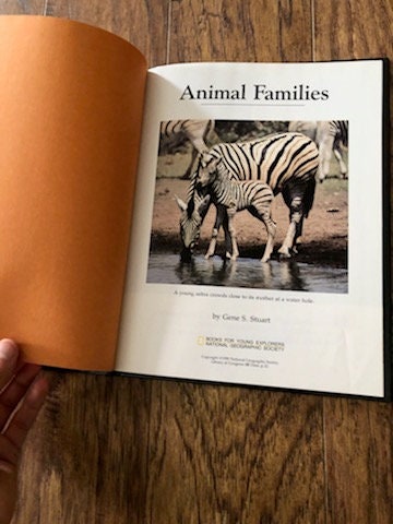 1990 Hardcover Animal Families Books for Young Explorers - Etsy 1990 Hardcover Animal Families Books for Young Explorers - Etsy