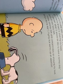 【t93wmnt額装セット】Snoopy Takes Off+Surfin Hardcover Peanuts Snoopy Takes off by Charles M. Schulz, Snoopy