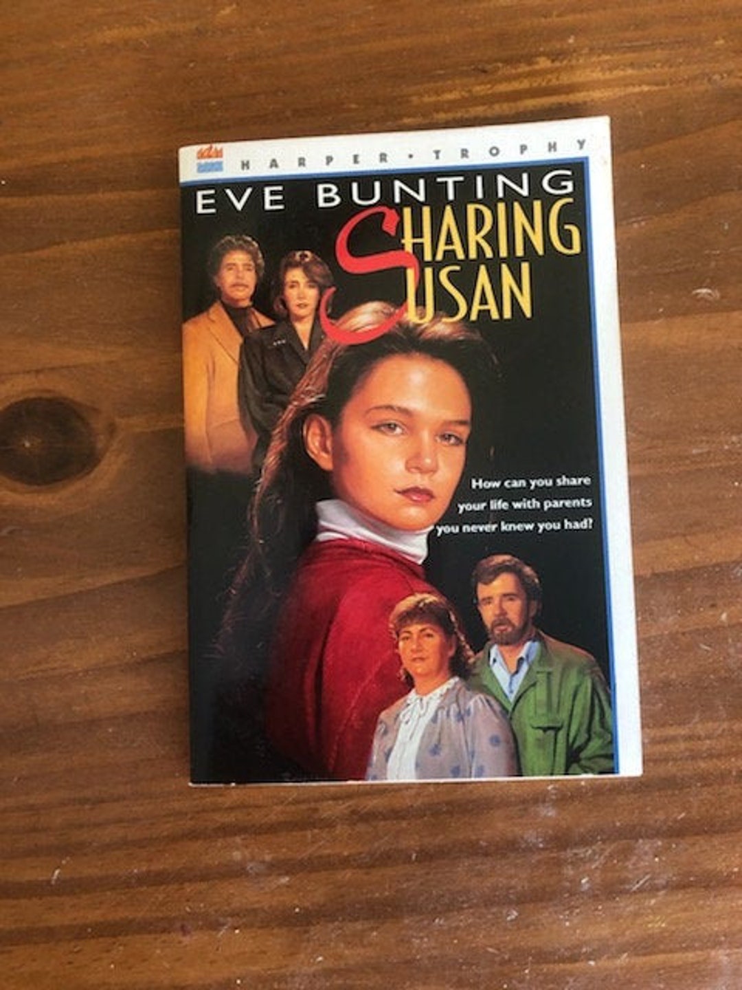 First Harper Trophy Edition 1994 Eve Bunting Sharing Susan Chapter Book ...