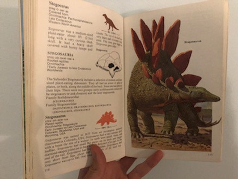 1980s Vintage The Dinosaur Encyclopedia by Dr. Michael Benton | Etsy
