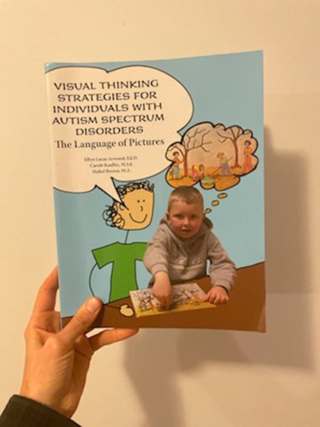 Paperback Visual Thinking Strategies for Individuals With Autism ...