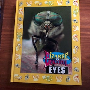 May include: A book titled "Bizarre & Beautiful Eyes" with a close-up image of a fly's face on the cover. The fly has large, green eyes and a hairy body.