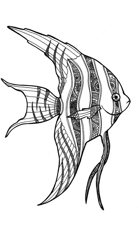 Altum Angelfish Coloring Page Digital File | Etsy