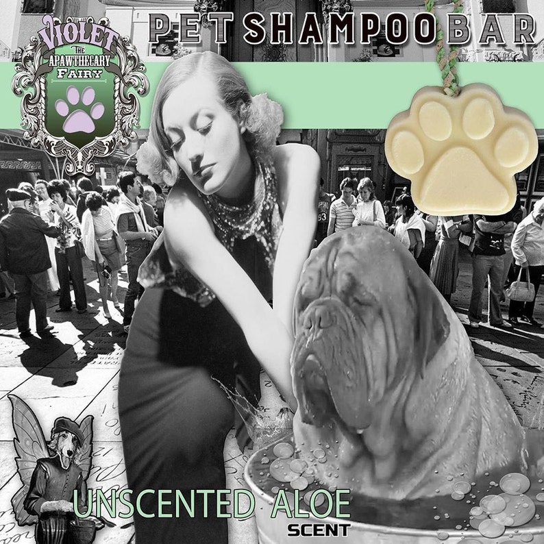 May include: A pet shampoo bar in the shape of a paw print, hanging from a green and white string. The bar is a light beige color. The image also includes the text "PET SHAMPOO BAR" and "UNSCENTED ALOE SCENT".