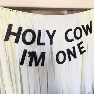 Holy cow Im one banner, cow decorations, 1st birthday, farm birthday banner, first rodeo, farm birthday ideas, holy cow banner