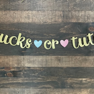 Trucks or tutus banner / trucks or tutus gender reveal / trucks or tutus / gender reveal decorations / gender reveal banner / he or she