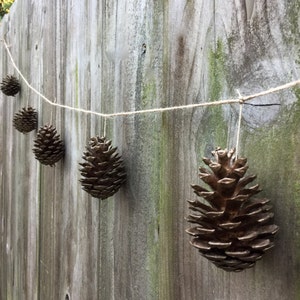 Fall Decorating With Pinecones – UTR Decorating