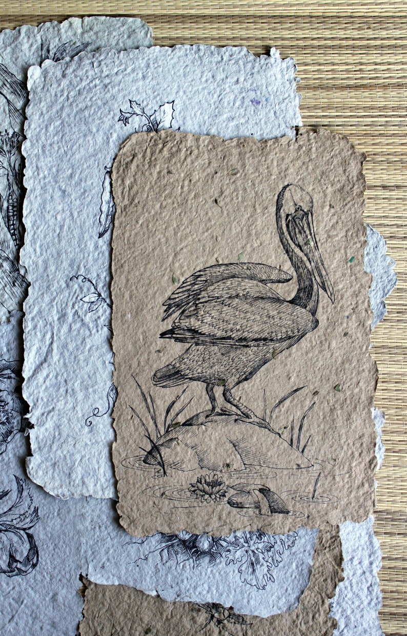 Tulip. Original Ink Drawing on Handmade paper. Botanical Etsy