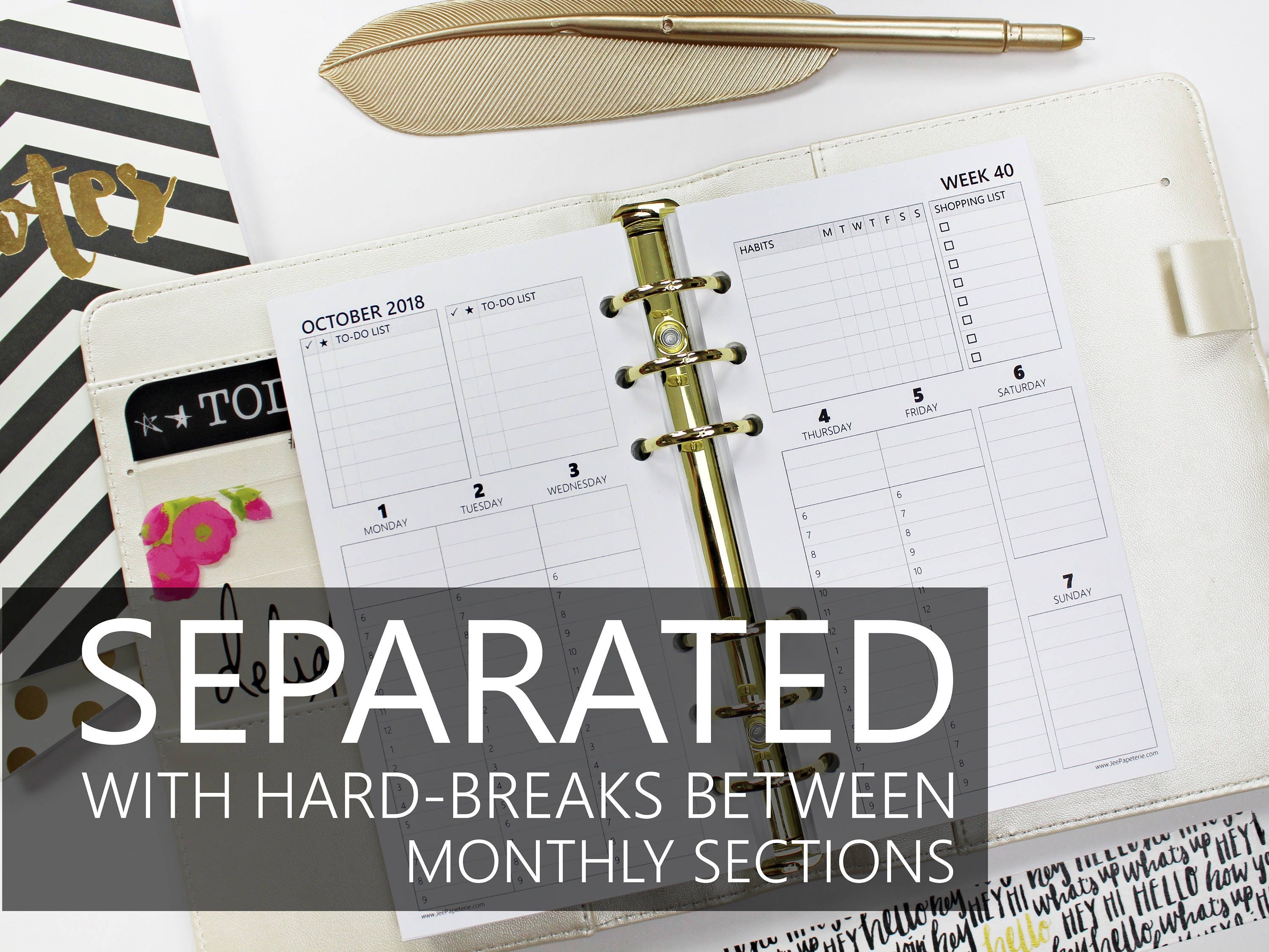Printed Planner Inserts: WEEKLY *Directive* Hourly/Timeline, weeks SEPARATED into monthly sections (Personal, Wide, FC Compact)