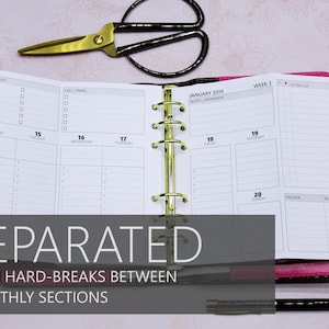 Printed Personal-Size FOLD-OUT version: Weekly *Directive* Hourly/Timeline Planner Inserts, SEPARATED by monthly sections (Half/Full Year)