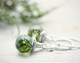 Forest Moss Drop Earrings \u2022 Terrarium Dangle Earrings \u2022 Resin Globe Earrings \u2022 Green Terrarium Jewellery \u2022 Earrings for Forest Wedding
