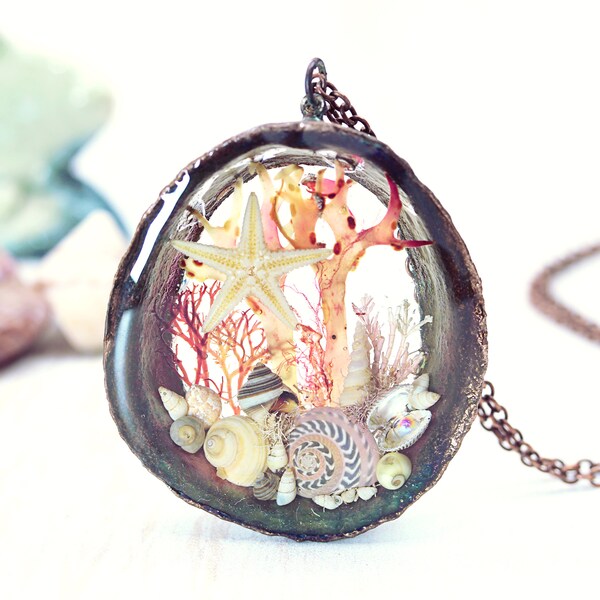 Collana piscina di marea Conchiglia Conchiglia gioielli in rame Naturale Limpet Ring Alghe che premono Erbario Regalo per un Beachcomber Beach Mare Oceano