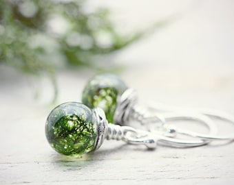 Terrarium Earrings Nature Inspired Earrings Dandelion Real Moss Earrings Green orb Earrings Woodland Resin Moss,Botanical Earrings,Gift for