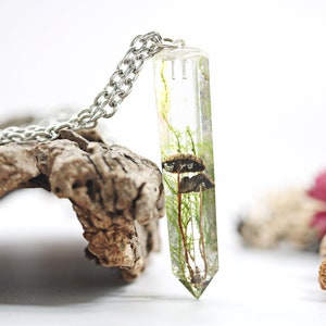 SECOND - Real Mushroom Necklace Toadstool Jewelry Fungi Crystal Quartz Terrarium Herbarium Moss Forest Woodland Gift For Him Eco Friendly