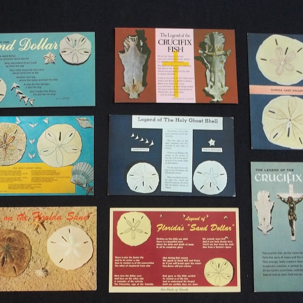Lot of  8 Vintage Postcards  Sand Dollars and The Legend of the Crucifix Fish