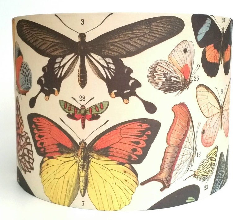 Vintage Butterfly Lampshade Etsy