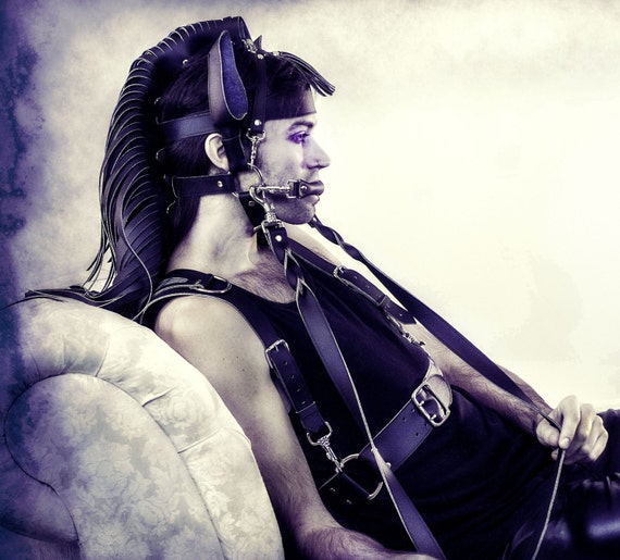 Complete Pony Package: Faux Leather Chest Harness, Tail  display picture 1