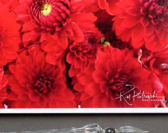 Floral Greeting Card, Panorama Photo Print, Flower Greeting Card, Handmade Notecard, Red Flowers, Red Dahlias, Valentine Card, Birthday Card