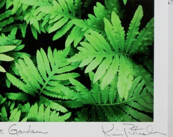 Floral Greeting Card, Luxury Notecard, Birthday Card, Handmade Greeting Card, Blank Card, Fern, Mother's Day, Spring Note, Secret Garden
