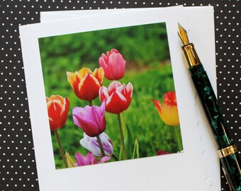 Tulip Greeting Card, Photo Greeting Card, Spring Floral Card, Flower Photo, Tulip Card, Any Occasion Card, Blank Notecard, Hello Spring!