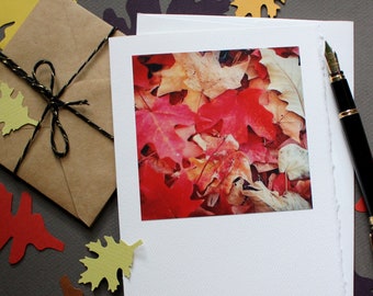 Fall Greetings, Fall Card, Halloween Card, Falling Leaves Card, Handmade Greeting Card, Blank Card, Any Occasion Notecard, Autumn Card