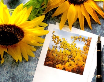Handmade Greeting Card, Blank Greeting Card, Birthday Card, Thank You Card, Notecard, Yellow Botanical Card, Travel Photo Scotland, Scotland