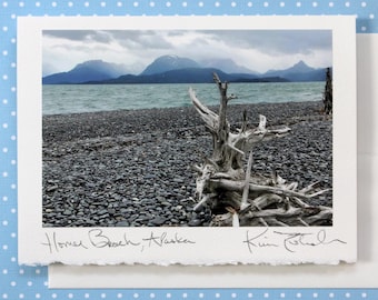 Driftwood Beach Photo, Alaska Beach Photo Greeting Card, Dramatic Beach View, Anniversary Greeting Card, Handmade Greeting Card, Blue Beach
