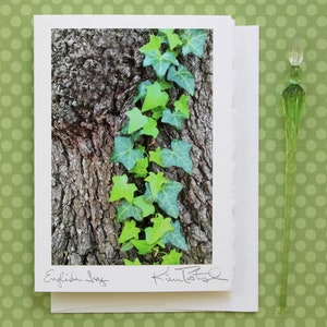 English Ivy Greeting Card, Congratulations Card, Card for Graduate, Photo Greeting Card, Ivy League, Handmade Greeting, English Ivy Photo image 1