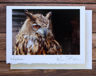 Photo Greeting Card, Owl Card, Horned Owl Photo, Handmade Card, Card for Graduate, Harry Potter Owl, Travel Photography, Blank Notecard
